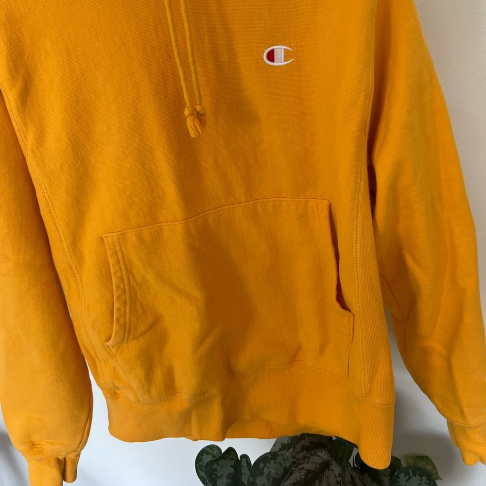 Champion hoodie